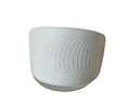 Load image into Gallery viewer, Luxury Pet Fashion Matte White Snake 4” Oval Collar
