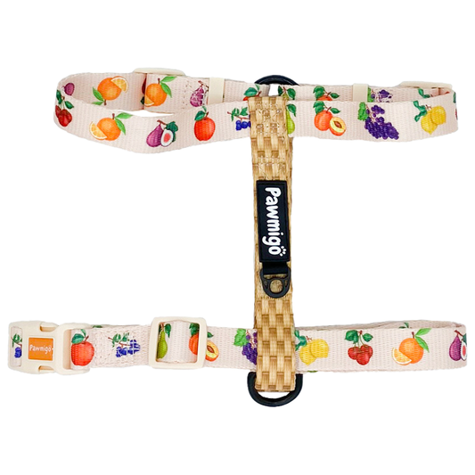 Frootie Patootie Free-Fit Harness - Southlake Paws