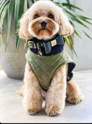 (NEW)The Olive Wrap Coat