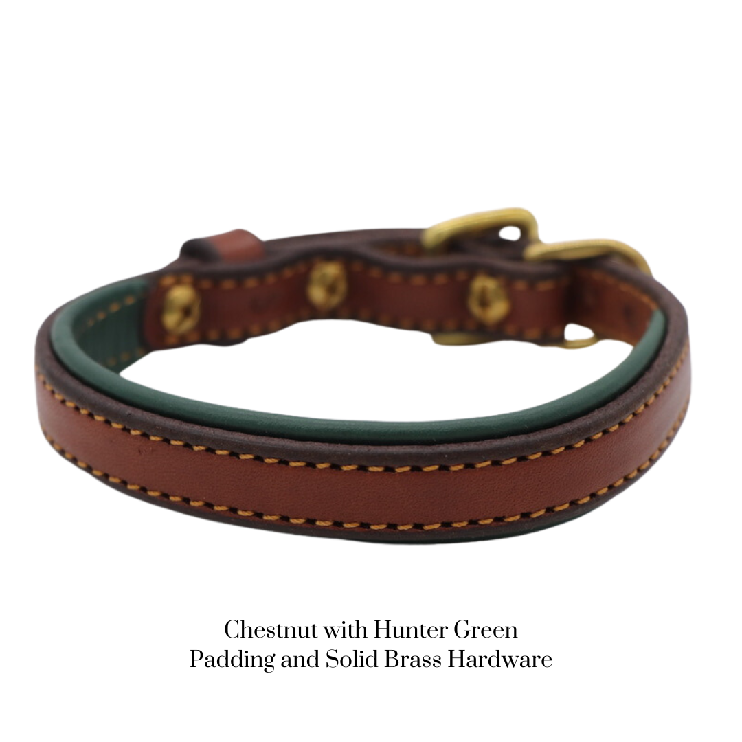 Padded Dog Collar - image 18