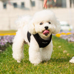 Mr. Peanut's PupTrek Harness and Leash Set,  Small Dog/Cat Soft Mesh Step In Harness Vest