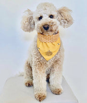 The Bumble Bee Scarf