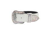 Matte White Snake Collar With Silver Swarovski Crystal Hardware Collar