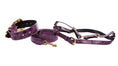 Load image into Gallery viewer, Purple & Black Viper Snake Swarovski Collar, Leash, Harness Set
