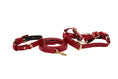 Load image into Gallery viewer, XS Red Viper Snake Collar, Leash, Harness Set
