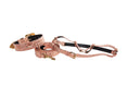 Load image into Gallery viewer, Copper Embossed Croc Italian Leather Swarovski Crystal Collar, Leash & Harness Set
