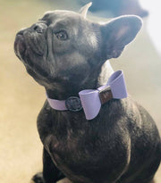 Leather Bow Collar - Lilac Hue