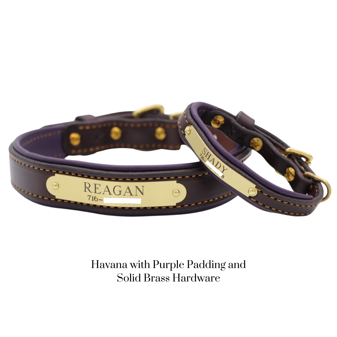 Padded Dog Collar - image 19
