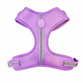 Load image into Gallery viewer, Shine Bright - Amethyst Adjustable Harness
