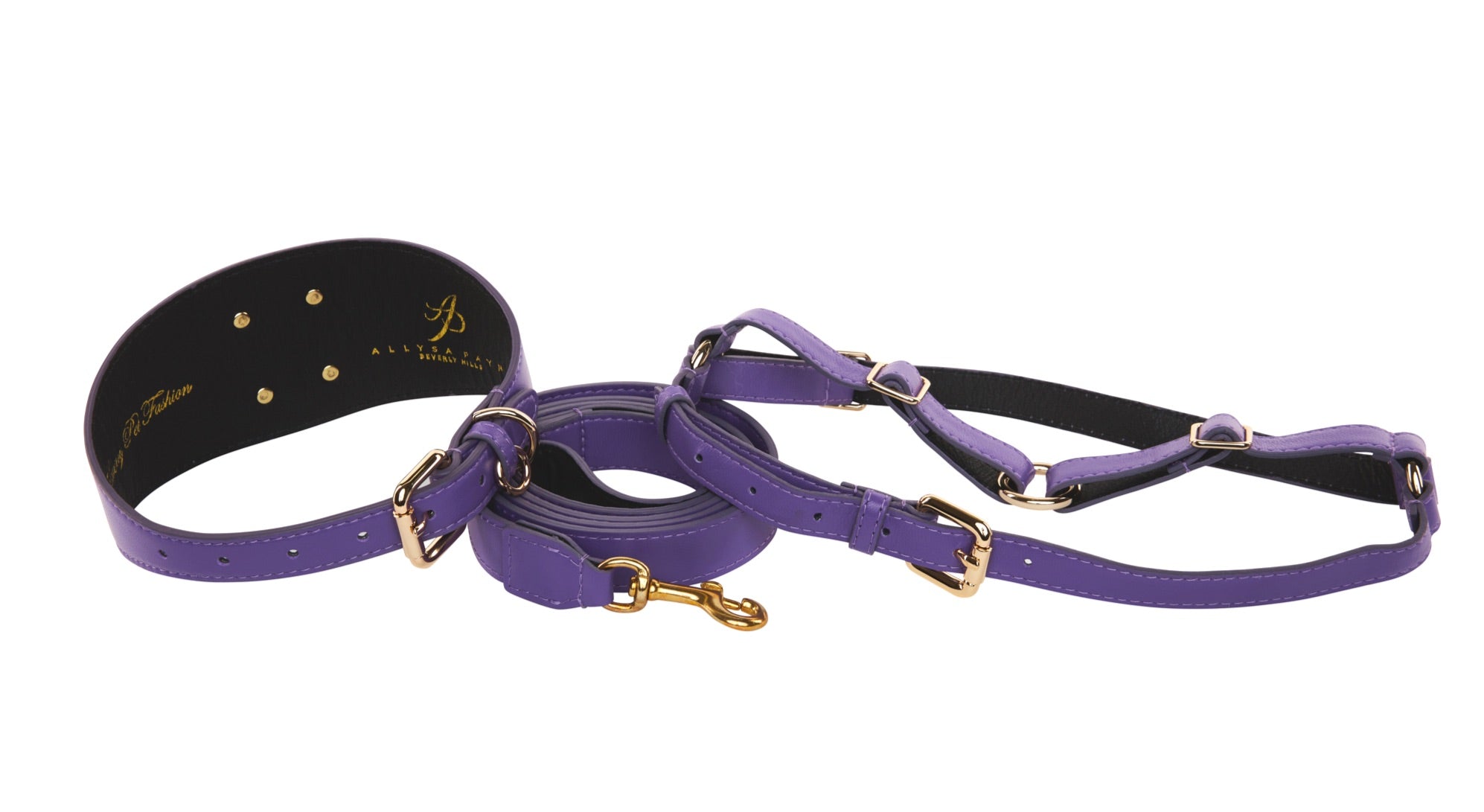Purple Italian Leather 3” Wide Style Collar, With Custom Gold Starfish, Leash & Harness Set