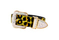 Load image into Gallery viewer, Yellow, Green, Black, Orange Leopard Print Hair On Hide Italian Leather Collar, With Swarovski Crystal Hardware
