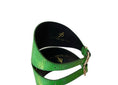 Load image into Gallery viewer, Luxury Pet Fashion Neon Green Snake 4” Oval Collar

