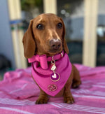 Miss Magenta Scarf