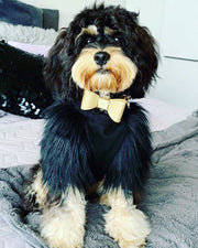 Leather Bow Collar - Champagne