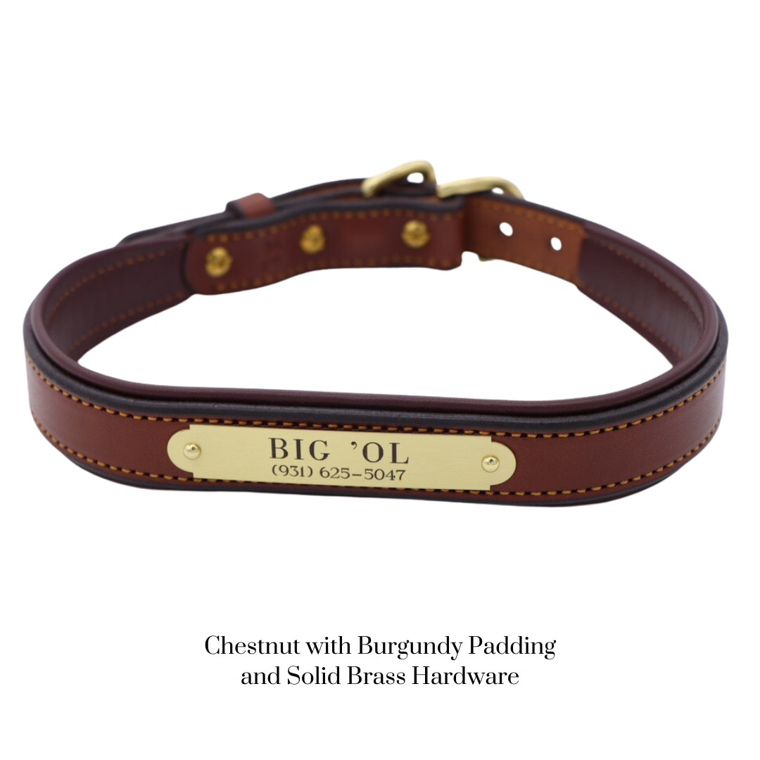Padded Dog Collar - image 26
