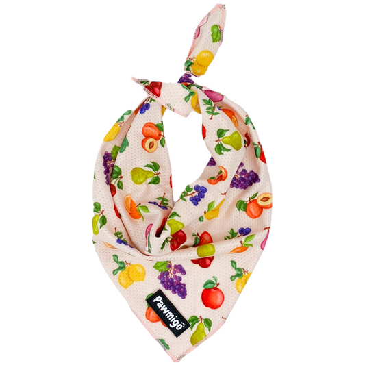 Frootie Patootie Cooling Bandana - Southlake Paws
