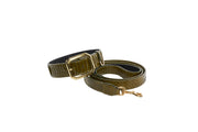 Olive Green Snake Collar & Leash Set