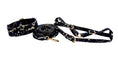Load image into Gallery viewer, Dark Navy Lace On Gold Italian Leather Classic Collar, Leash & Harness Set
