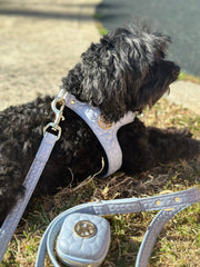 The Novalie Mist - Step in Dog Harness is