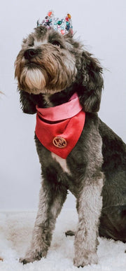 Miss Tangerine Scarf