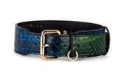 Blue, Green, Black, Yellow Snake Classic Collar