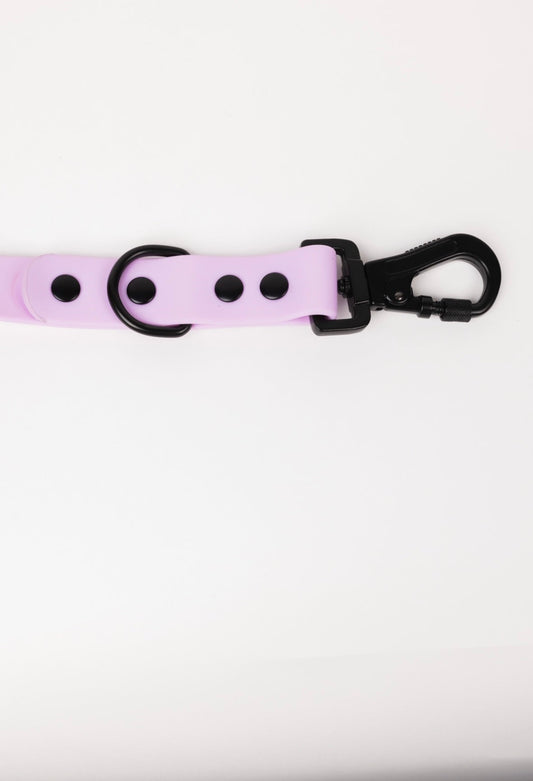 Blush Pink Dog Leash by The Modern Dog Company featuring a sleek design with black hardware and circular cutouts.