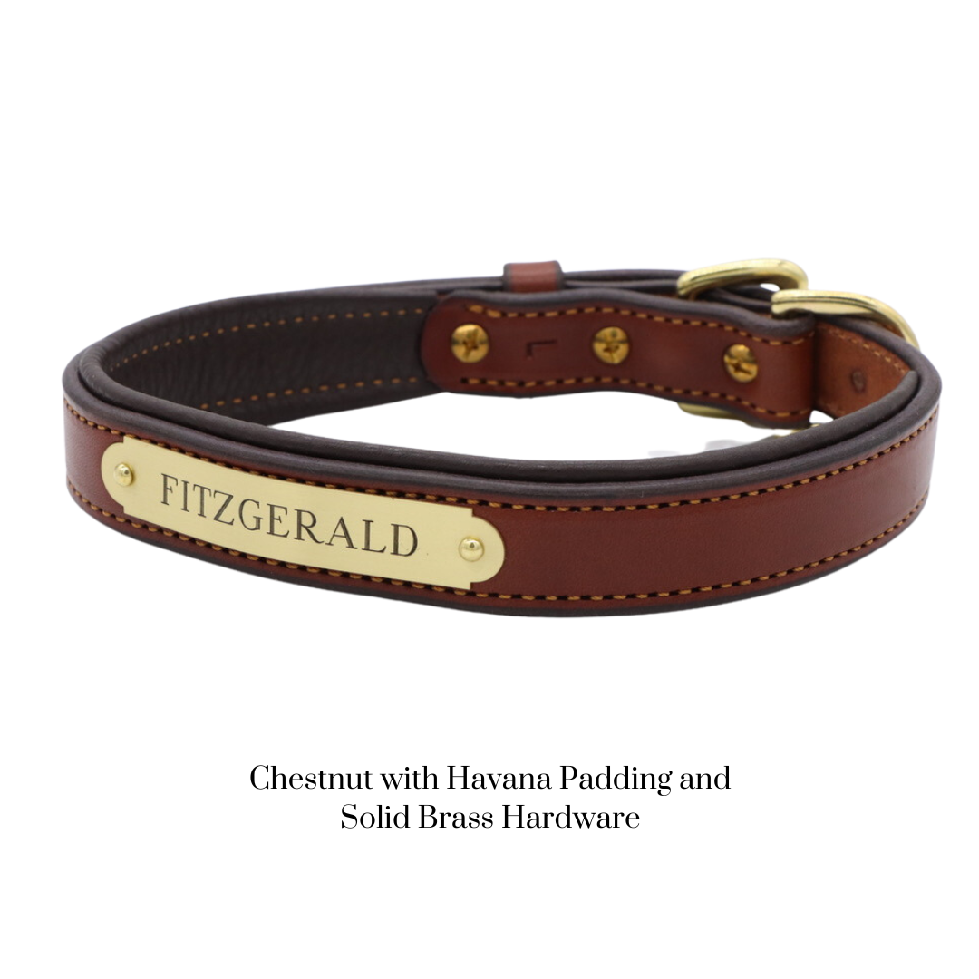 Padded Dog Collar - image 25