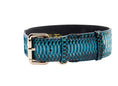 Load image into Gallery viewer, Turquoise, Black Snake Classic Collar With Gold Classic Hardware

