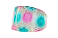 Load image into Gallery viewer, Turquoise, Fuchsia, Off White Snake 4 Wide Collar
