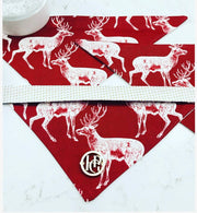 The Prancer Scarf