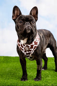 Load image into Gallery viewer, Chocolate Cow Adjustable Harness
