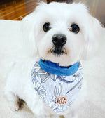 The Bluebell Scarf