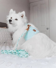 The Aquamarine Dog Harness