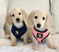 Load image into Gallery viewer, EcoBark Navy Dog Harness - Over-the-Head Soft Mesh Dog Vest Halter for Small to Medium Dogs and Puppies
