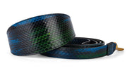 Blue, Green, Black, Yellow Snake 3 Wide Style Collar