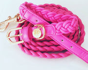 The Scarlet Dog Harness