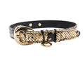 Load image into Gallery viewer, Gold & Black Snake Collar With Oval Gold Hardware
