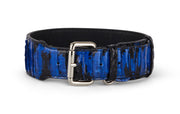 Black and Royal Blue Snake 3 Wide Style Collar