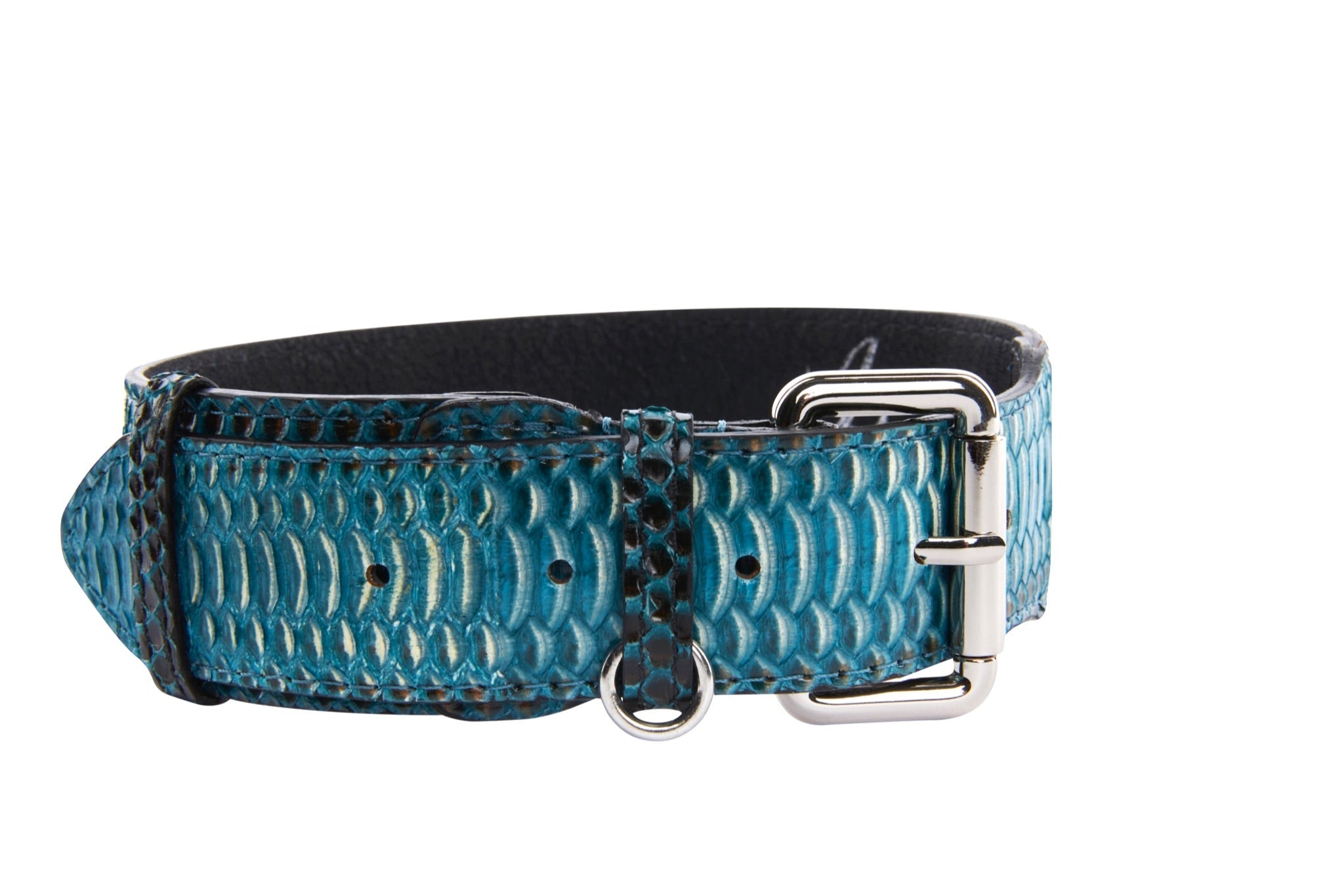 Turquoise, Black Snake Classic Collar With Silver & Gold Classic Hardware Set Of 2