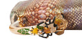 Load image into Gallery viewer, The Bee
