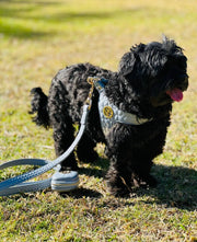 The Novalie Mist - Step in Dog Harness is