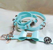 Leather Dog Lead (only) - Aquamarine