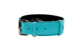 Load image into Gallery viewer, Turquoise Blue Italian Leather Classic Collar/Silver Classic Hardware
