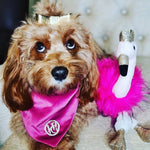 Miss Magenta Scarf