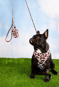 Load image into Gallery viewer, Chocolate Cow Adjustable Harness
