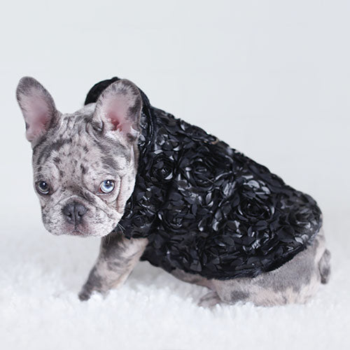 Victorian Dog Coat Faux Fur Handmade Handmade in the USA Coats - Designer Dog Harness from Southlake Paws