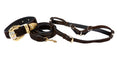 Load image into Gallery viewer, Dark Leopard Hair On Hide Italian Leather, Ornate Italian Swarovski Crystal Hardware Collar, Leash, Harness Set
