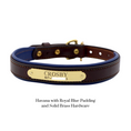 Load image into Gallery viewer, Padded Dog Collar - image 13
