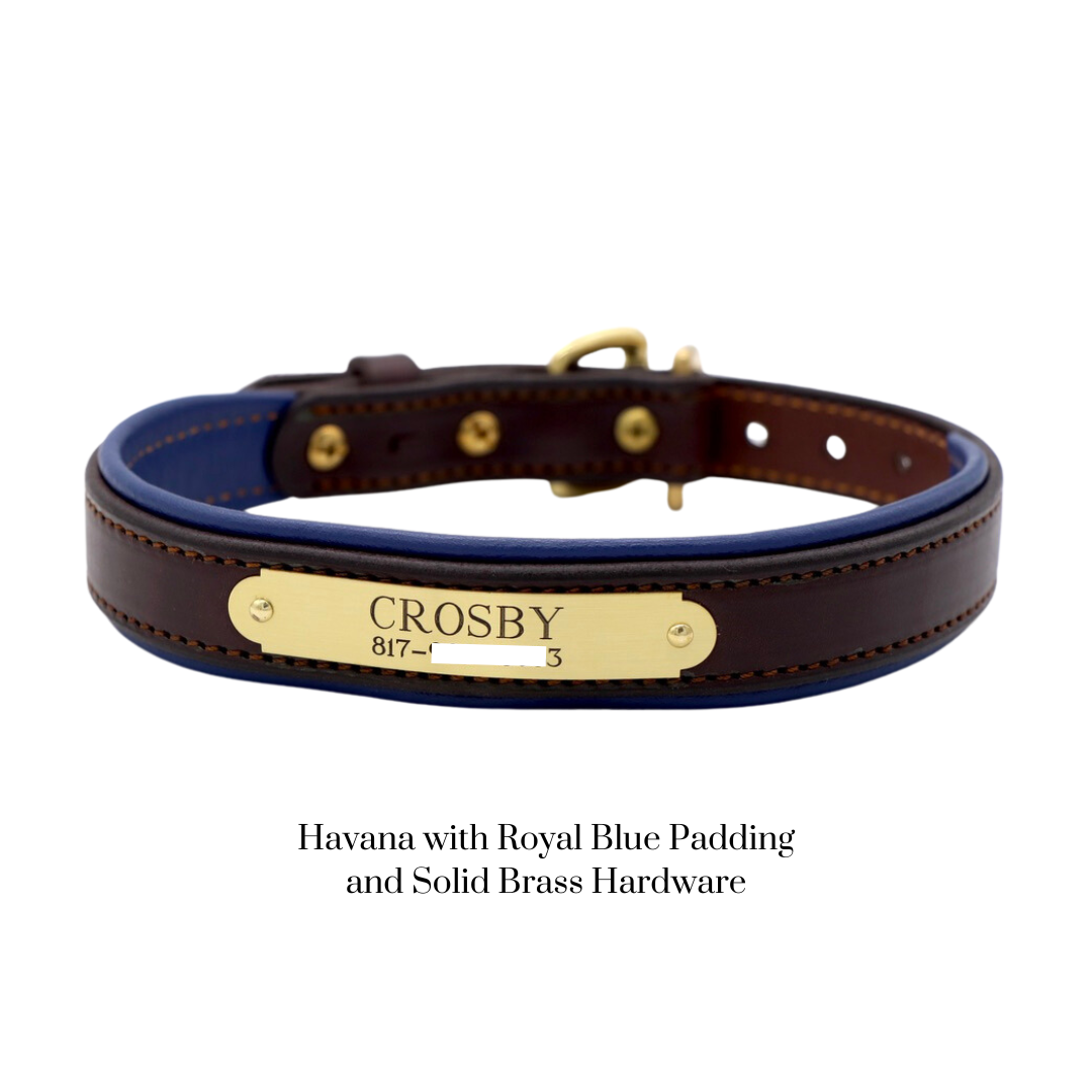 Padded Dog Collar - image 13