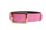 Luxury Pet Fashion Neon Pink Snake Collar With Our  Modern Gold Hardware